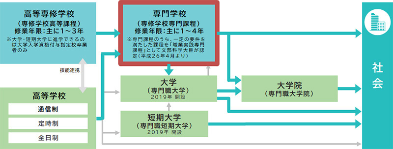 専門ですが通販できます専門です専門です